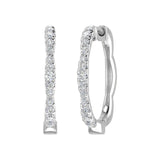 1/4 Carat Diamond Hoop Earrings in Gold